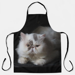 Tablier persan, mignon, chat, animal, isolé, animal de com