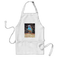 Pinson de cordon bleu