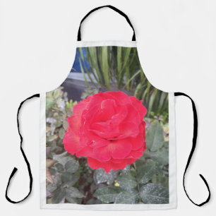 Tablier robinet