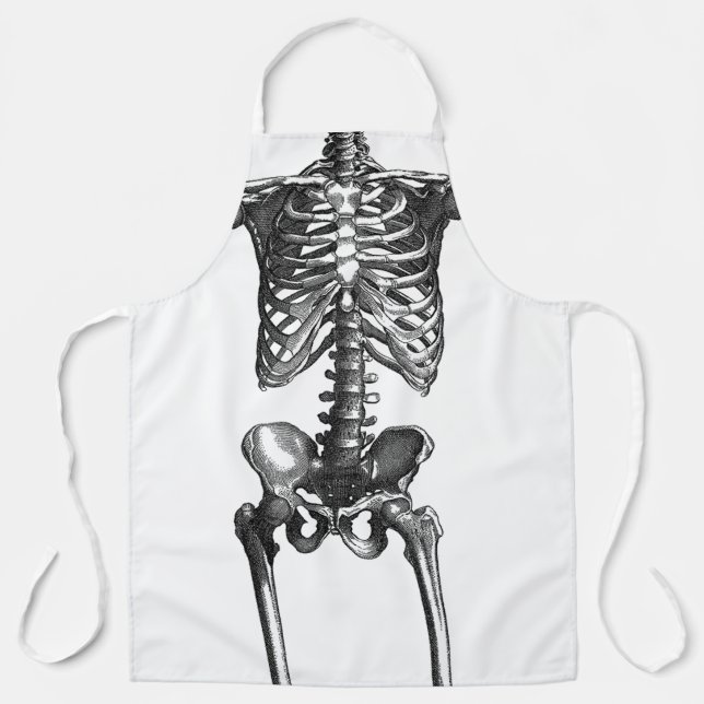 Tablier Skeleton Apron (Recto)