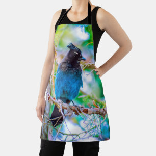 Tablier Steller's Jay - Photographie originale