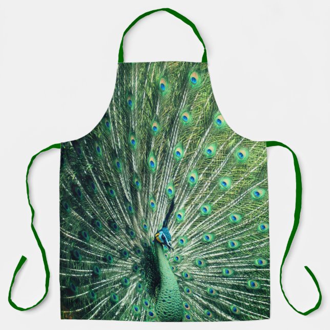 Tablier Strut Peacock (Recto)