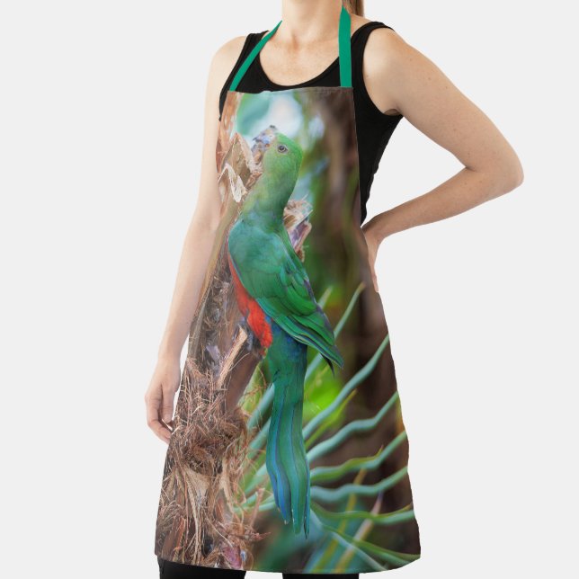 Tablier Superbe perroquet australien Escalade d'un arbre (Insitu)