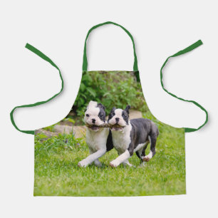 Tablier Sympa drôles Boston Terrier chiens chiots jouer -