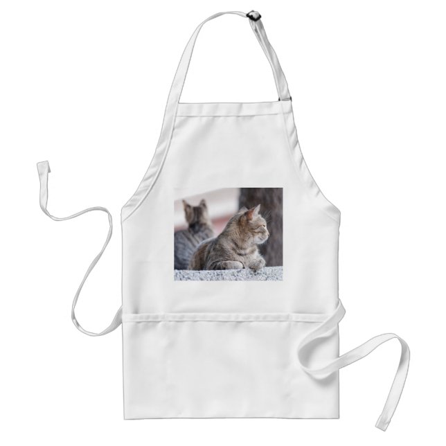 Tablier Tabby cats en repos (Devant)