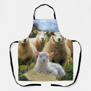 Tablier Vestige de mouton Herbe de mouton Agneau de bébé