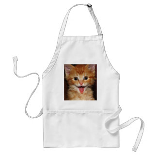 Tablier Visage orange drôle de minou