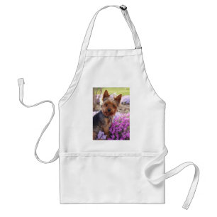 Tablier Yorkshire Terrier