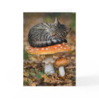 Tabouret Tabby Carte de voeux pliée