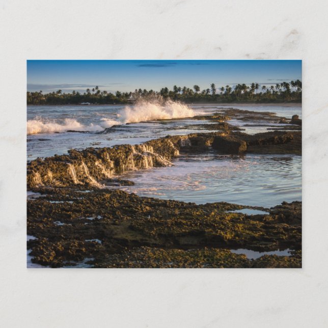 Tabuba Beach: Breaking Waves On The Reefs Postcard (Front)