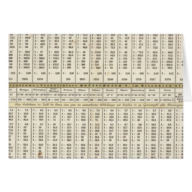 tabular representation of statistics (Front Horizontal)