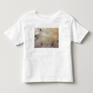 Tabun-Khara-Obo Toddler T-shirt