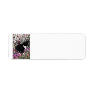 Taches de rousseur en fleurs II - chat de Kitty de