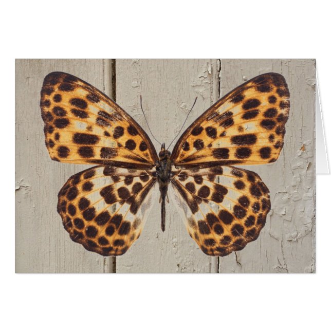 Taches du papillon w/Leopard sur la carte en bois (Devant horizontal)