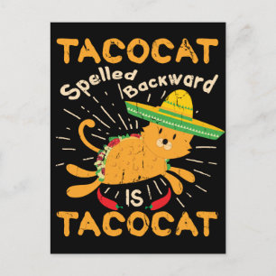 Tacocat Graphic Cinco de Mayo Cat Taco Postcard