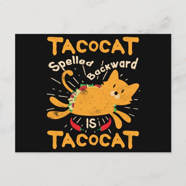 Tacocat Spelled Backwards Cinco de Mayo Cat Taco Postcard (Front)