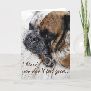 Tad Bulldog Obtenez Bien Carte De Sympathie