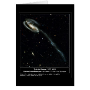 Tadpole Galaxy Hubble Telescope Photo