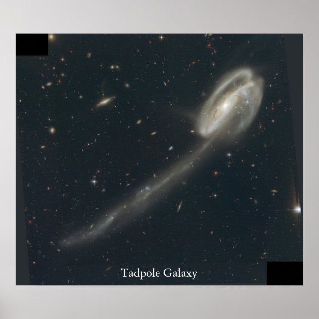 Tadpole Galaxy Poster (Front)