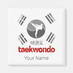 Taekwondo Retro Korea Flag Martial Arts Vintage Magnet