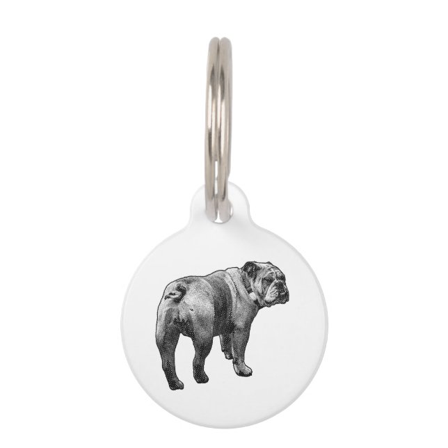 Tag Bulldog, Alert Step (Front)