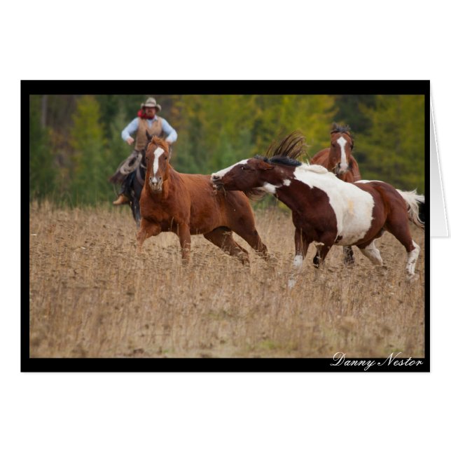 Tag your It (Front Horizontal)