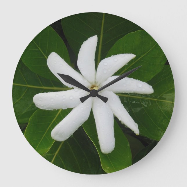 Tahitian Gardenia Large Clock (Front)