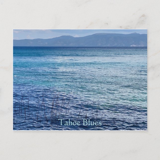 Tahoe Blues Postcard (Front)