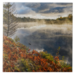 Tahquamenon River Sunrise   Paradise, Michigan Tile