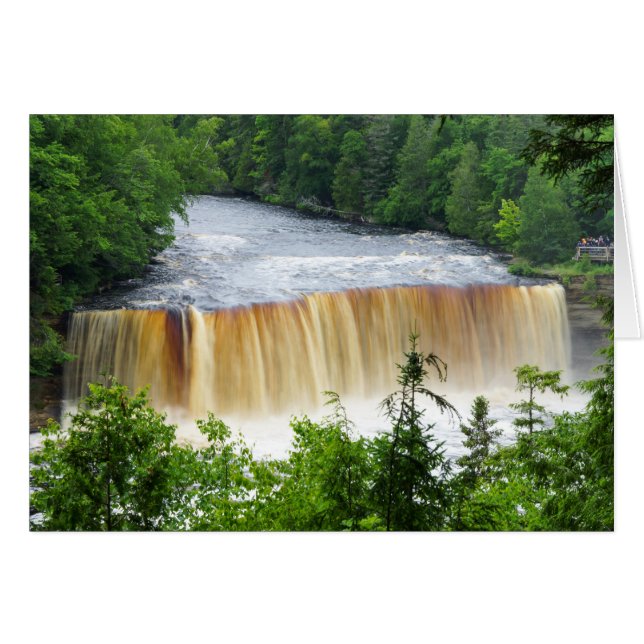 Tahquamenon Upper Falls (Front Horizontal)