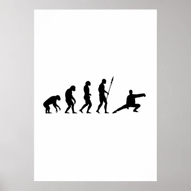 tai chi evolution poster (Front)
