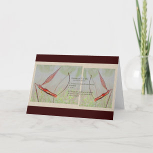 Tai Chi Greeting Card