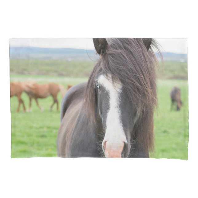 Taie d'oreiller de cheval de taille standard (devant)
