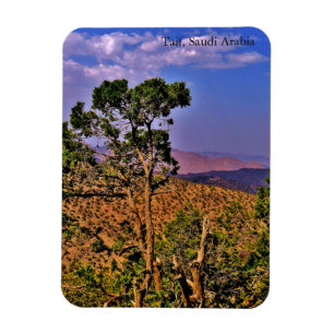Taif, Saudi Arabia Magnet