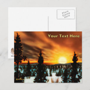 Taiga Sun Postcard