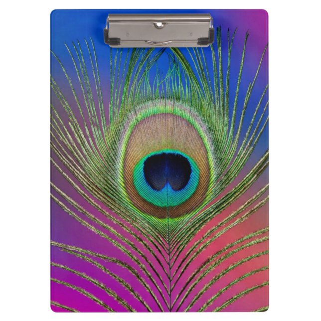 Tail feather of a peacock clipboard (Front)