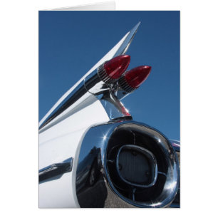 Tail Fin