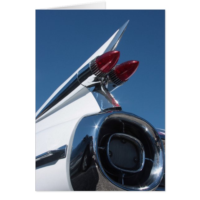 Tail Fin (Front)