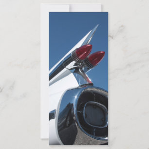 Tail Fin