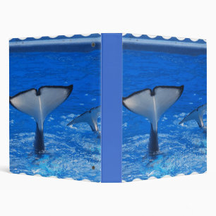 Tail of a Whale Binder