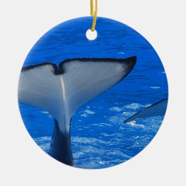 Tail of a Whale  Ornament (Front)