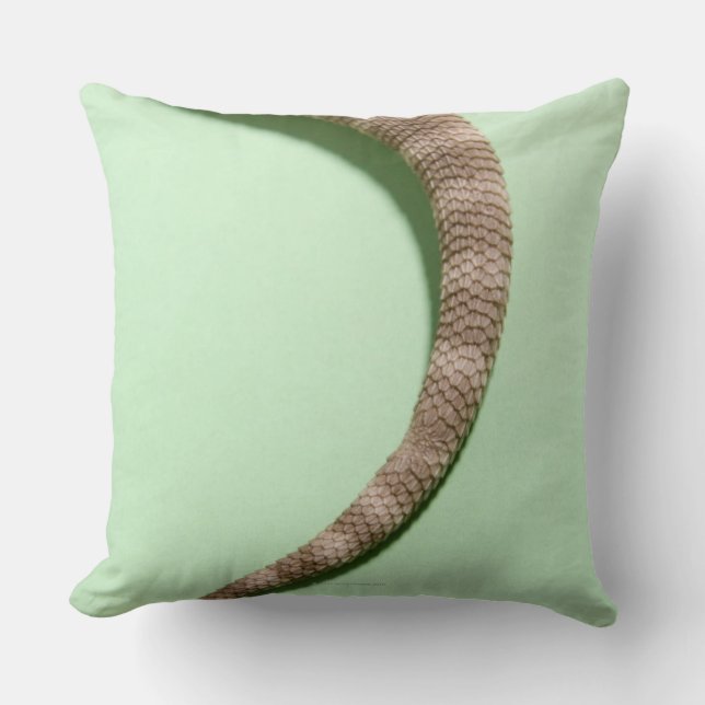 Tail of bearded dragon throw pillow (Front)