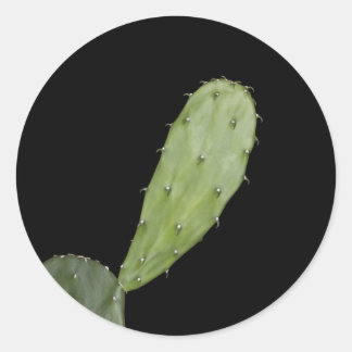 tail of pain classic round sticker