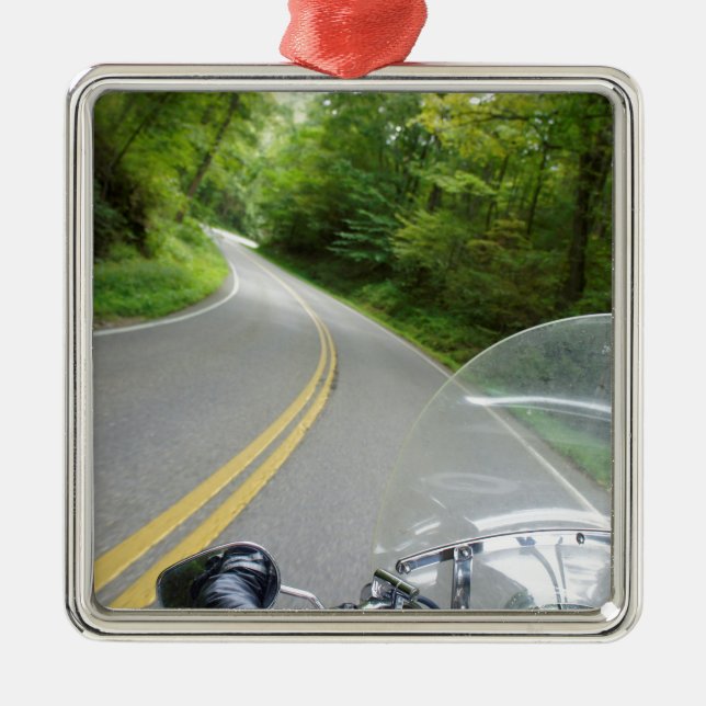 Tail of the Dragon Metal Ornament (Front)