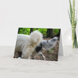Tail Wagging Ways / Anniversary Card
