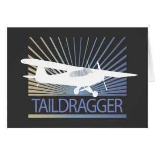 Taildragger Airplane
