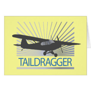 Taildragger Airplane