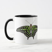 Tailed Jay Green and Black Butterfly Painting