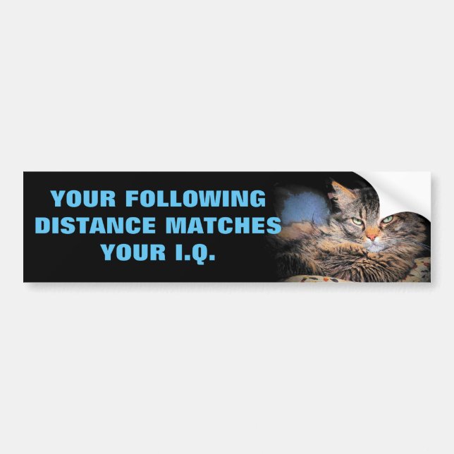 Tailgaters IQ? Same as Following Distance CAT Meme Bumper Sticker (Front)