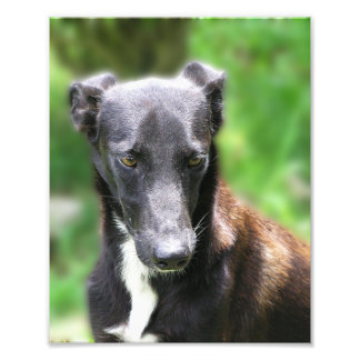 Taille personnalisée 8 X 10 Impression photo